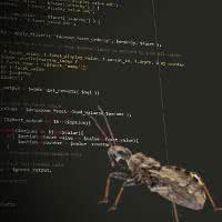 New WordPress, Drupal Vulnerability Discovered by Security Researcher
