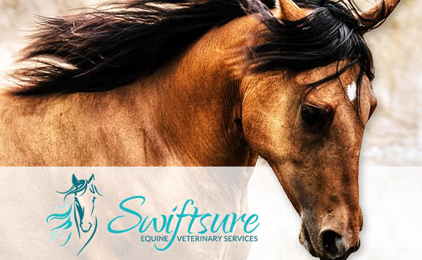 Swiftsure Equine Veterinarian Services logo