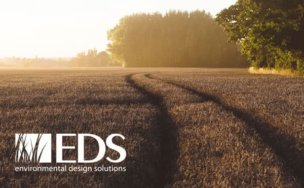 EDS Group logo