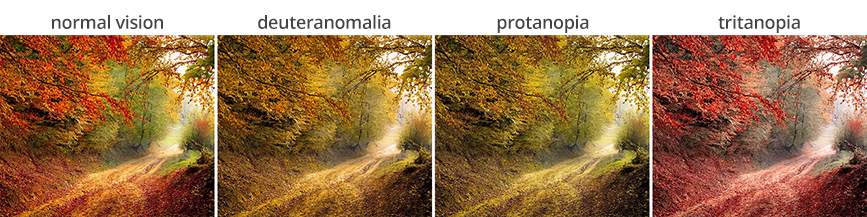 Colour vision deficiency photo example 1