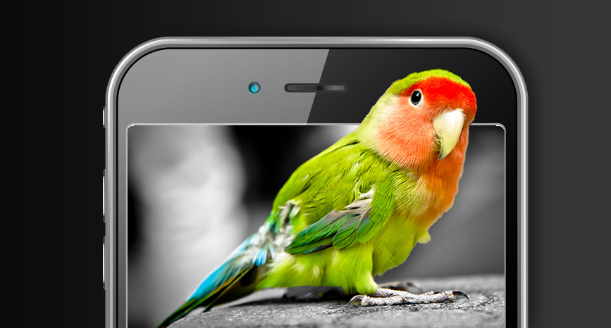 Red and green parrot popping out of smartphone screen