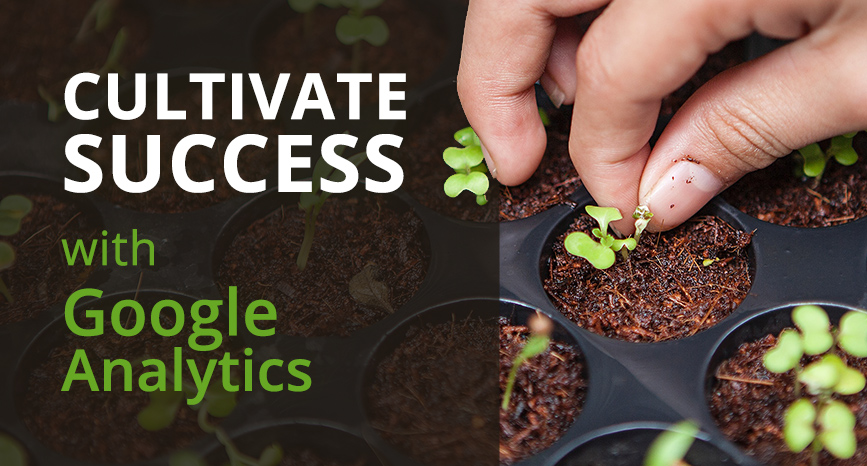 Cultivate Website Performance with these Easy Google Analytics Reports