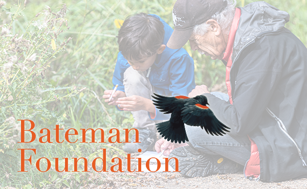 The Bateman Foundation logo