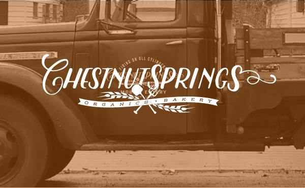 Chestnut Springs logo