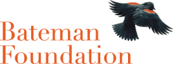bateman-foundation-logo.png