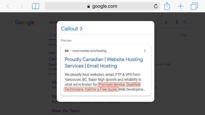 Callout Google Ads Extension