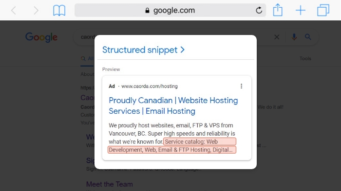 Structured Snippet Google Ads Extension