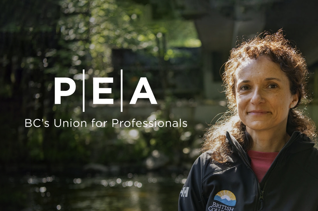 PEA logo