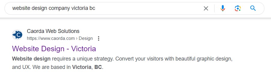SERP with title and description 