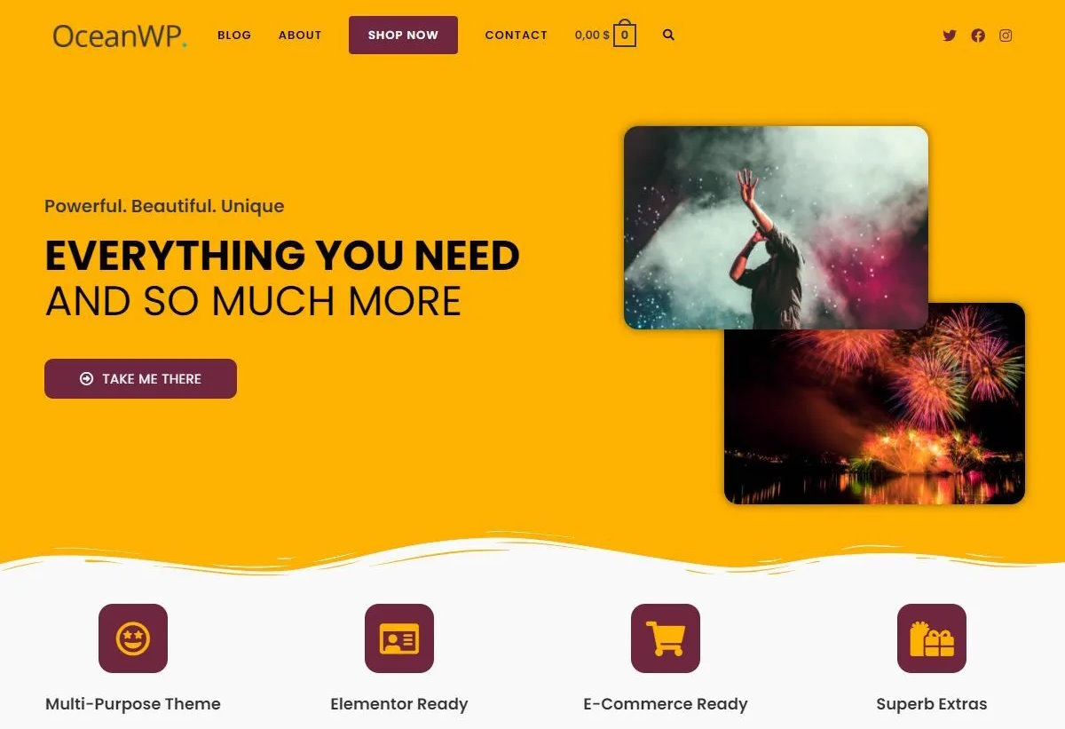 website theme 1