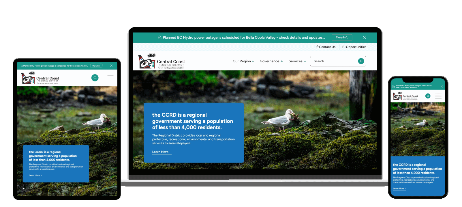site screenshot
